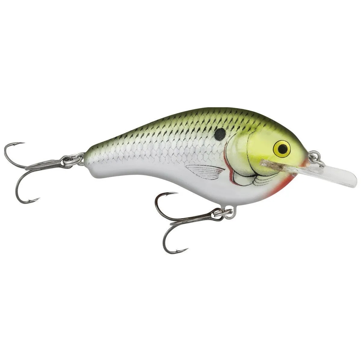Bagley Flat Balsa B2