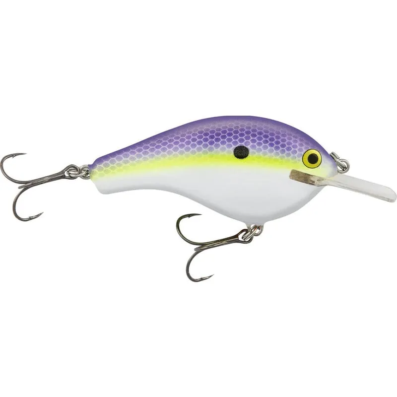 Bagley Flat Balsa B2