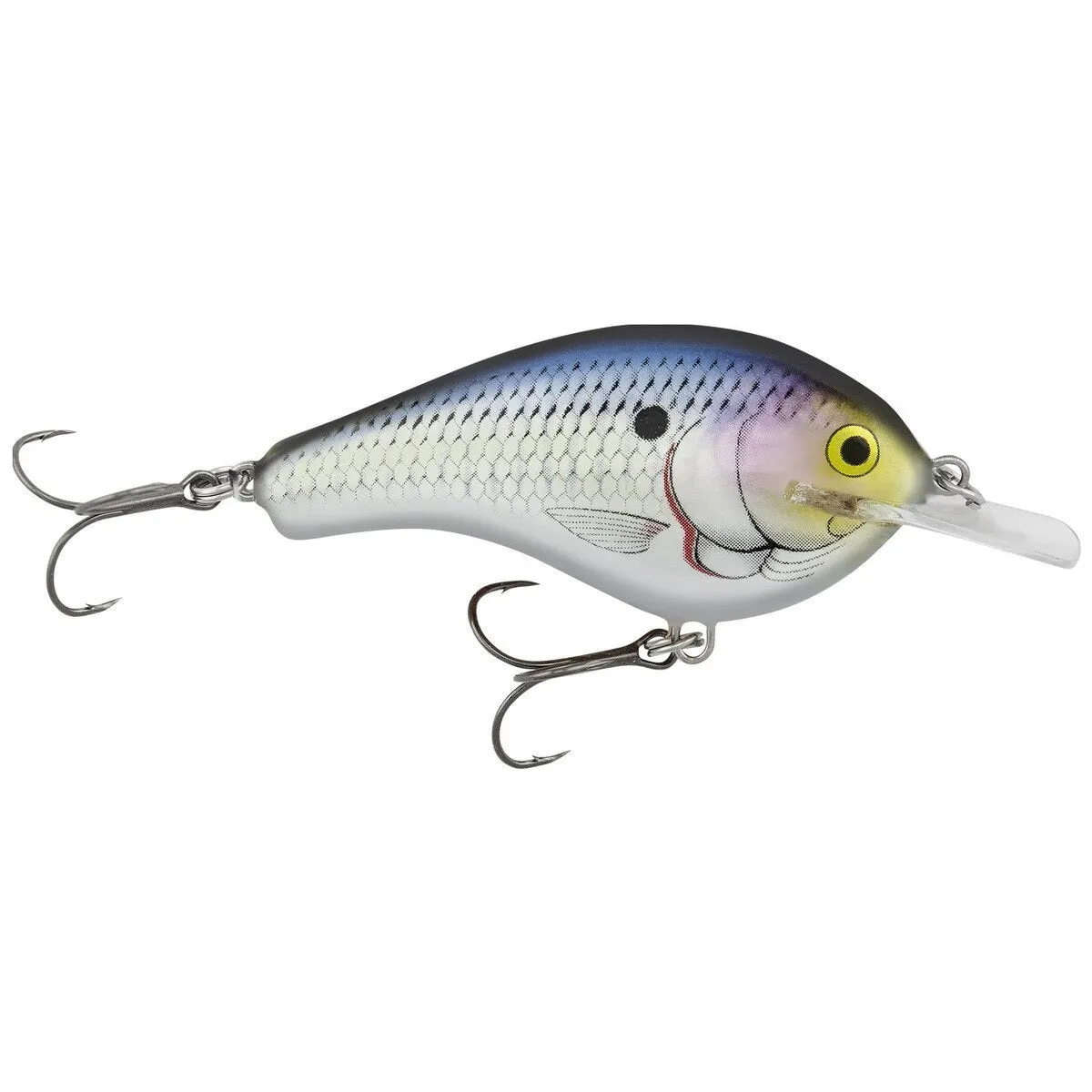 Bagley Flat Balsa B2