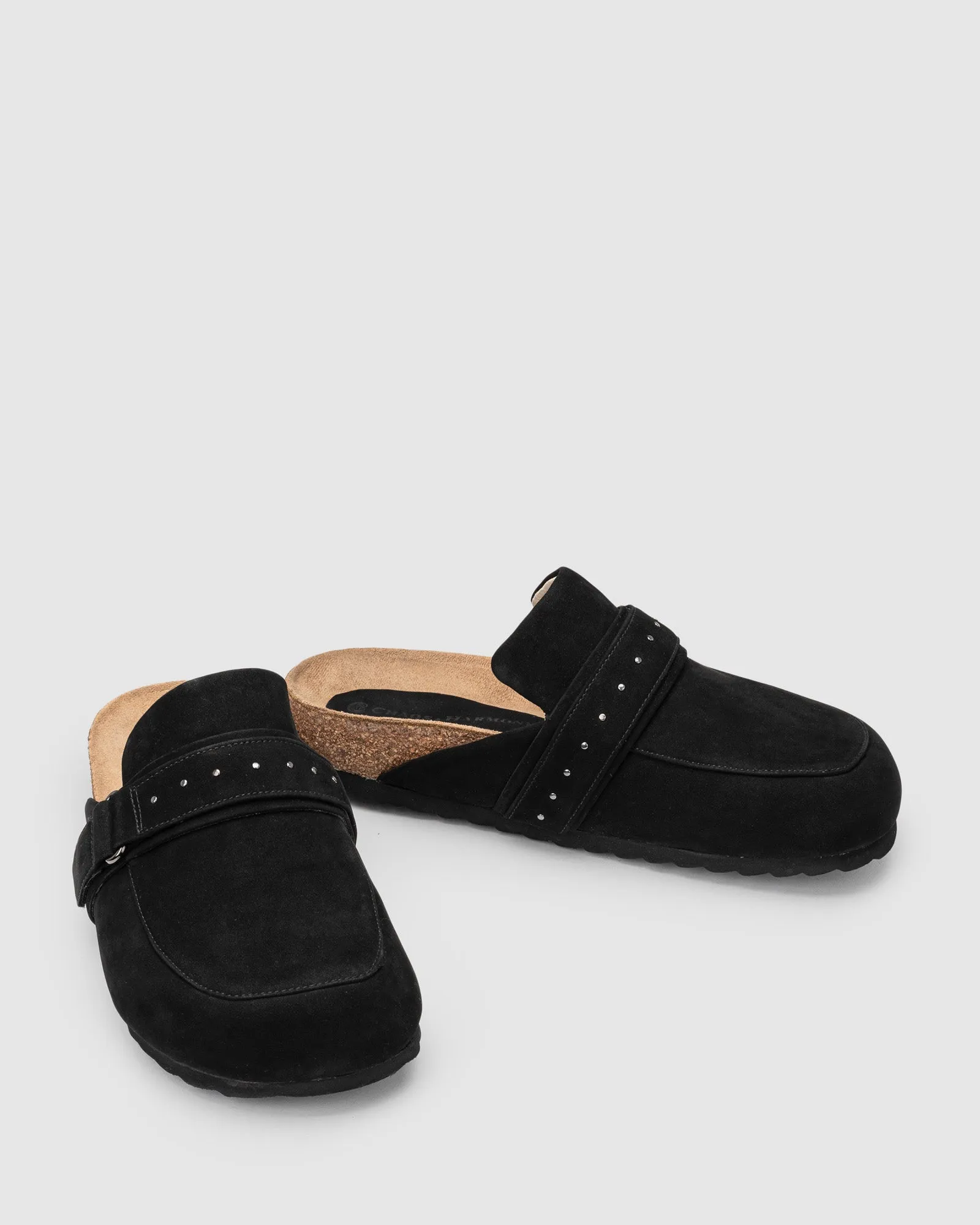 CHAOS & HARMONY JOBY MULE
