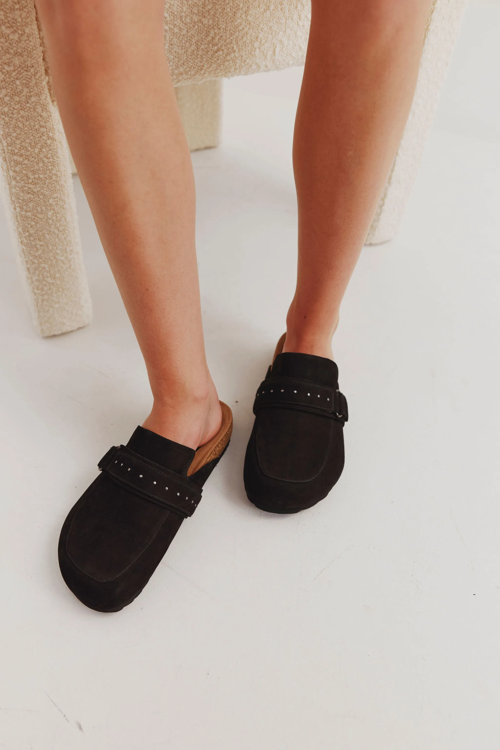 CHAOS & HARMONY JOBY MULE