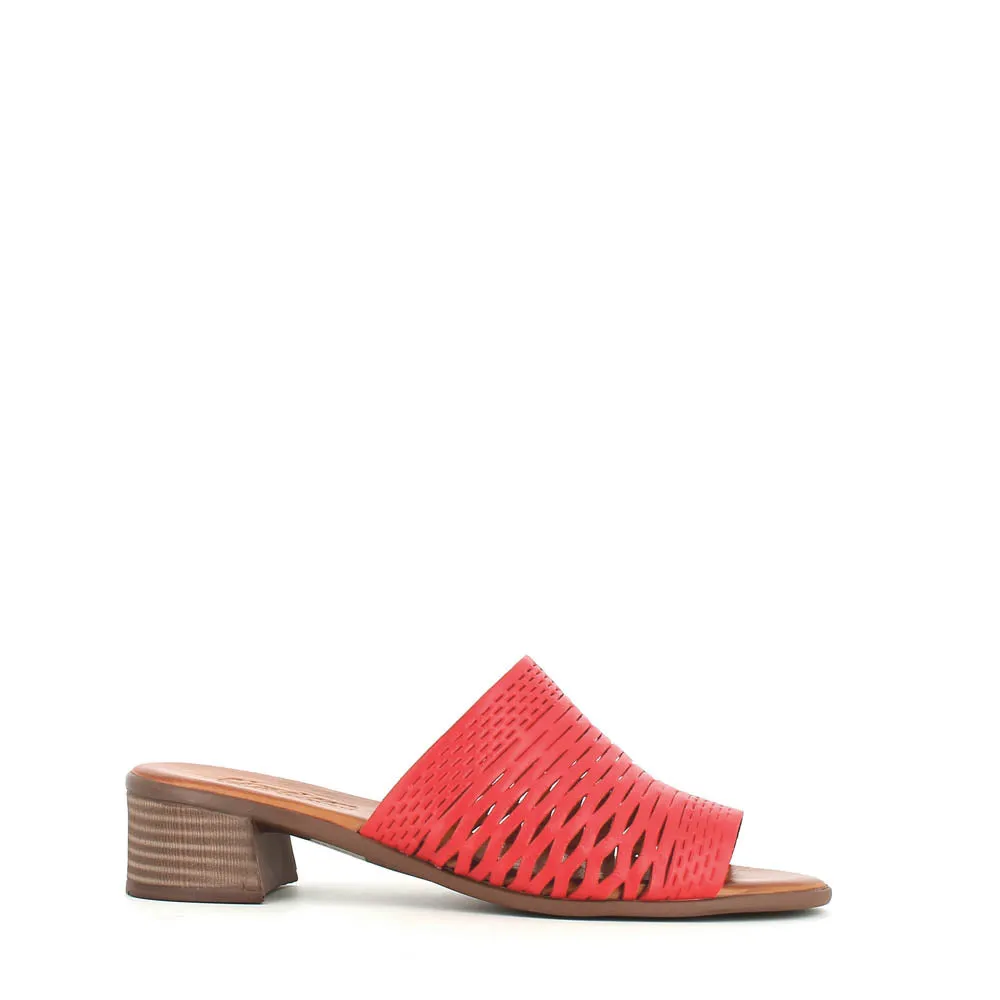 Cinders Edit Trellis Mule Tan