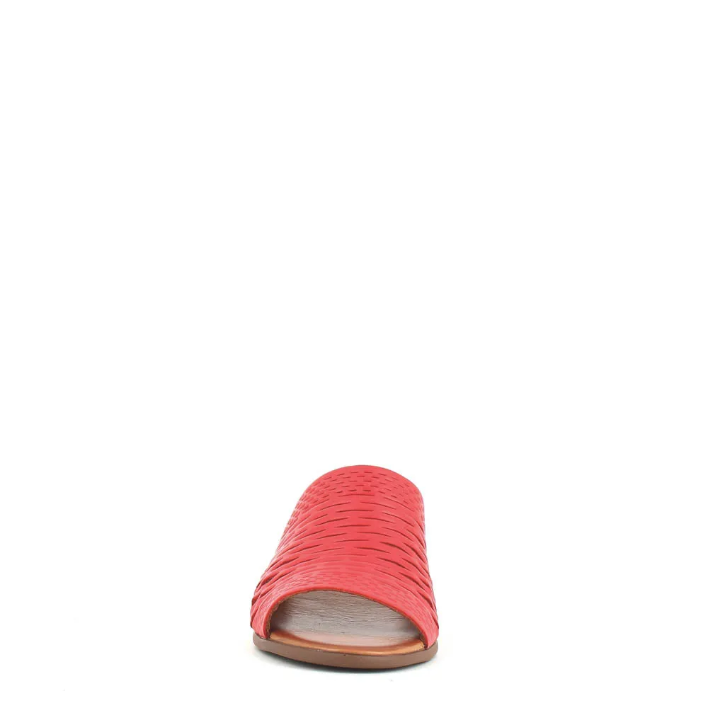 Cinders Edit Trellis Mule Tan