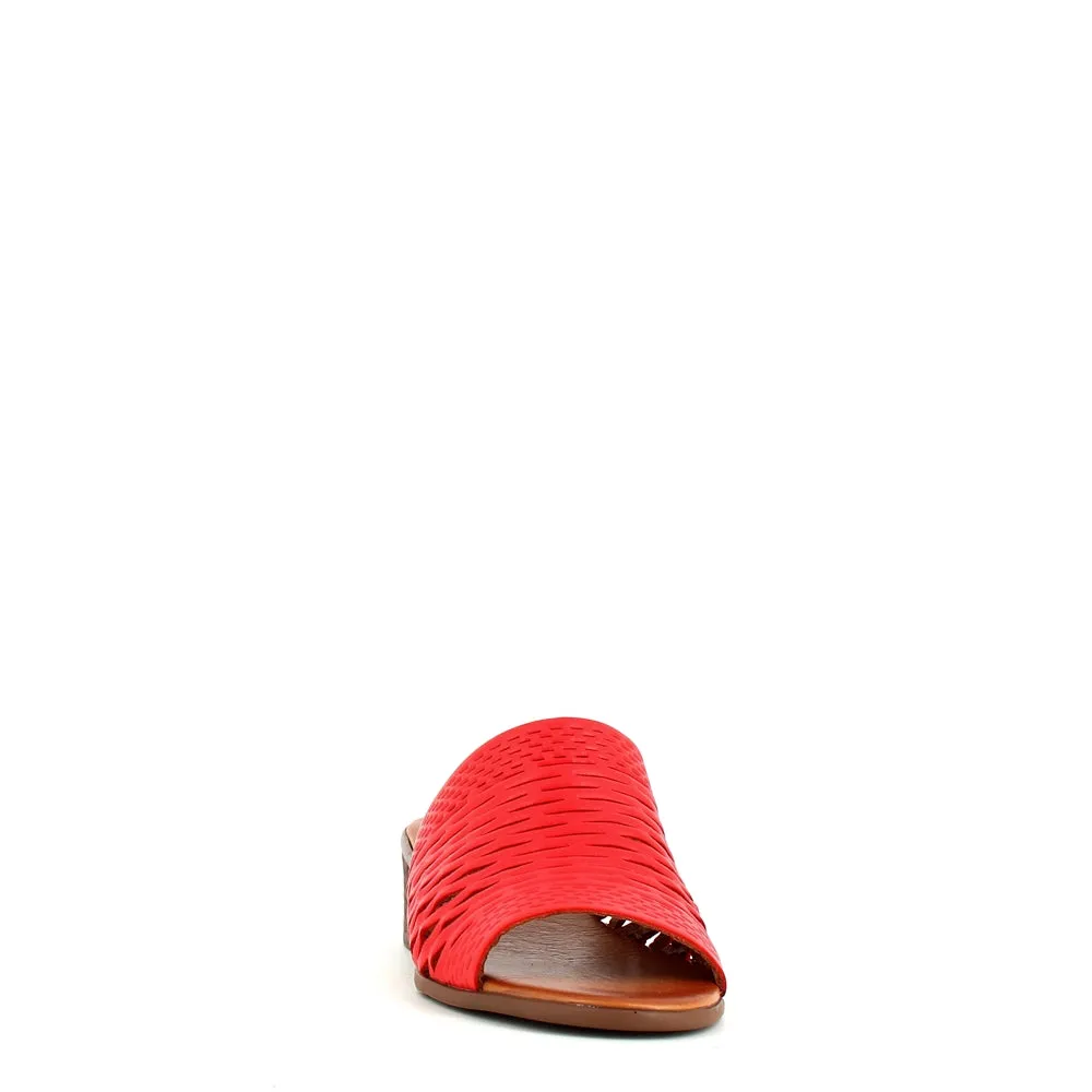 Cinders Edit Trellis Mule Tan