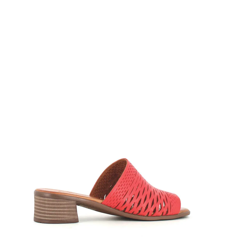 Cinders Edit Trellis Mule Tan