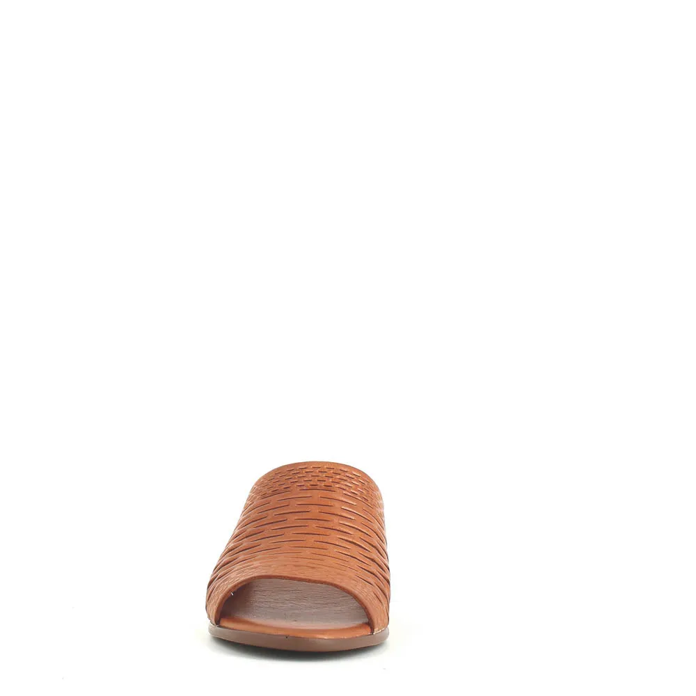 Cinders Edit Trellis Mule Tan