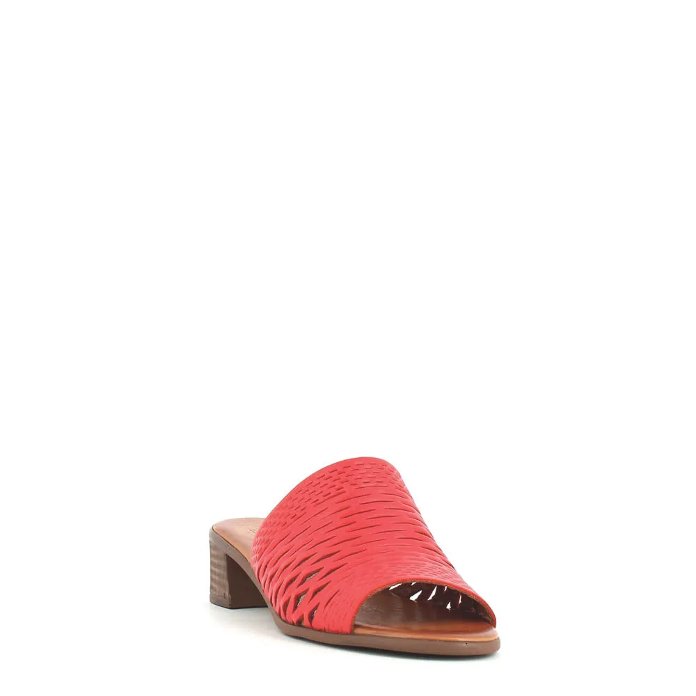 Cinders Edit Trellis Mule Tan