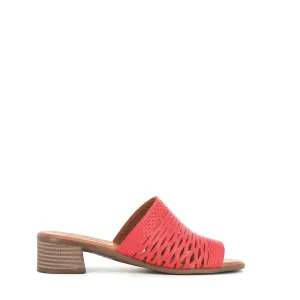 Cinders Edit Trellis Mule Tan
