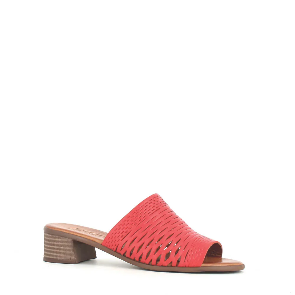 Cinders Edit Trellis Mule Tan