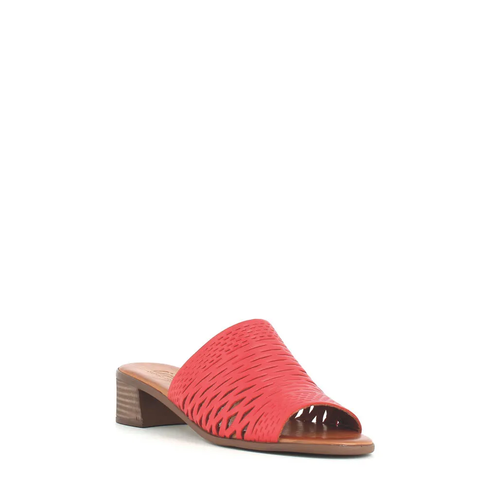 Cinders Edit Trellis Mule Tan