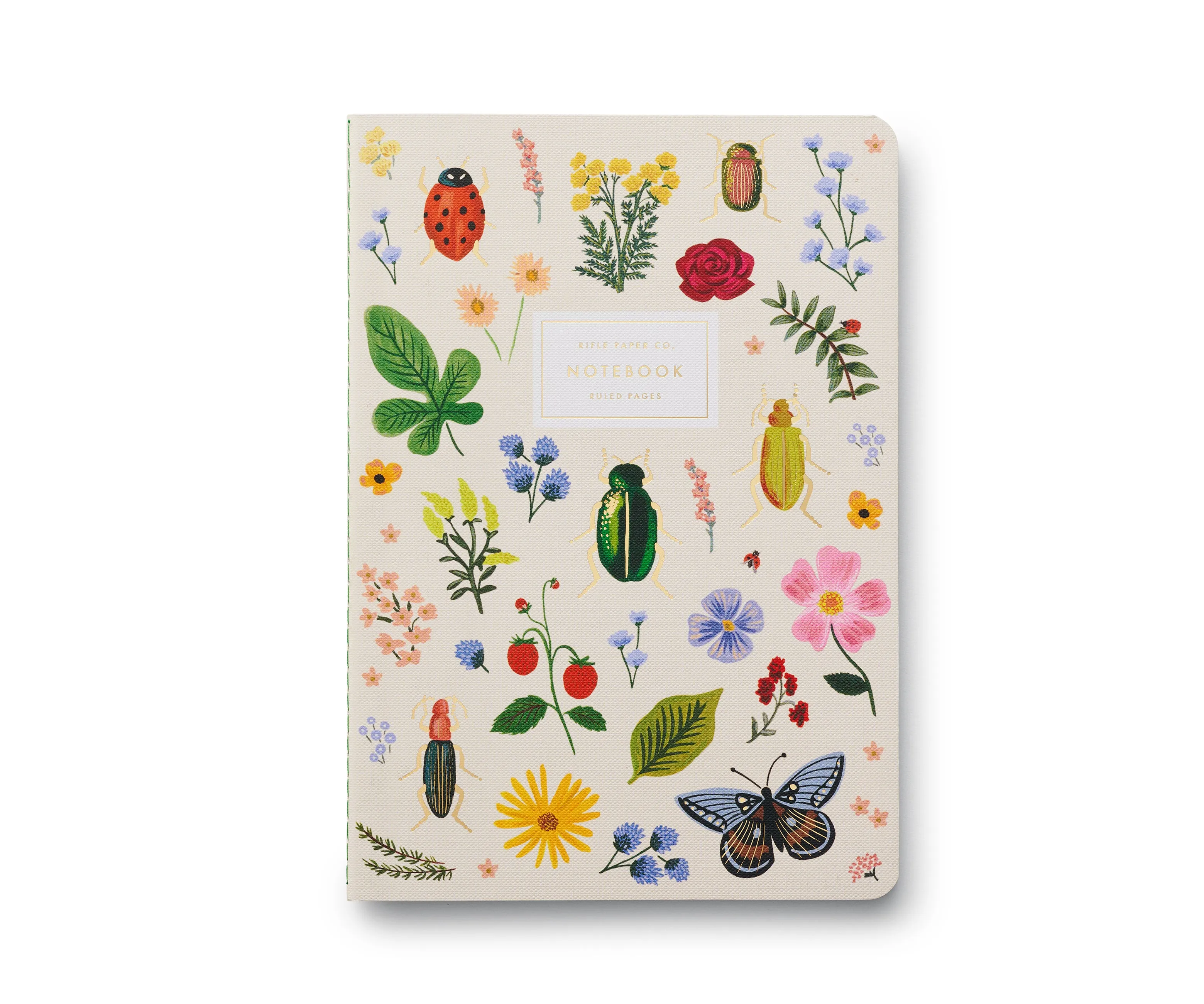 Curio Notebooks, Set of 3