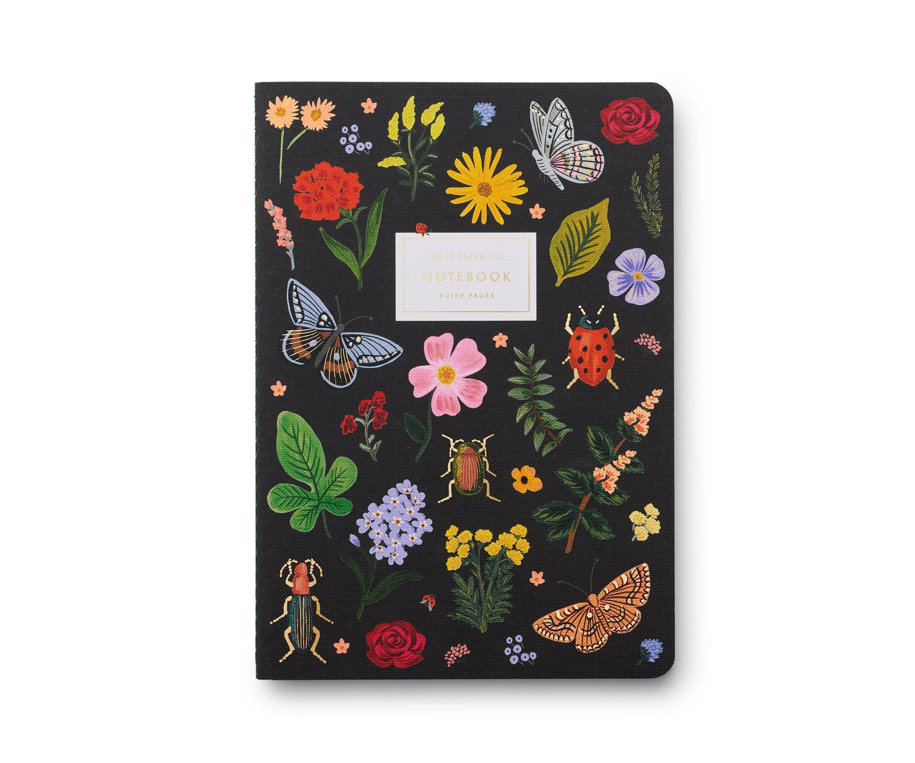 Curio Notebooks, Set of 3