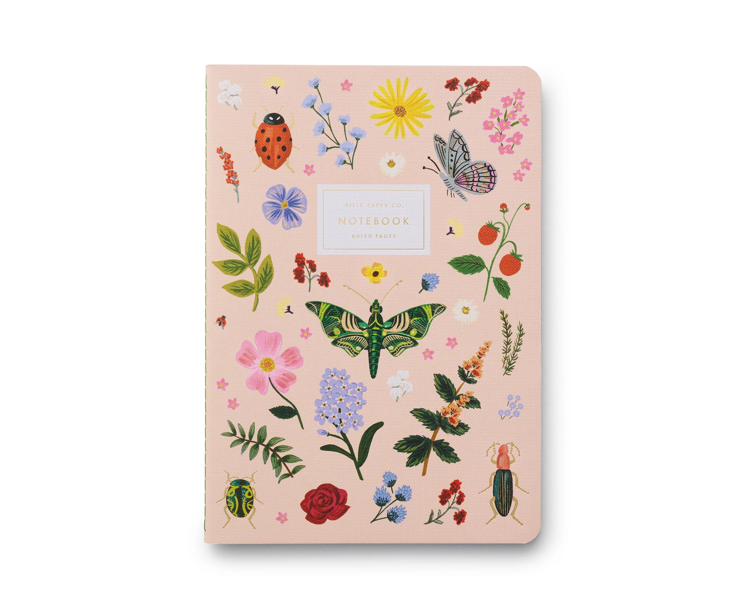 Curio Notebooks, Set of 3