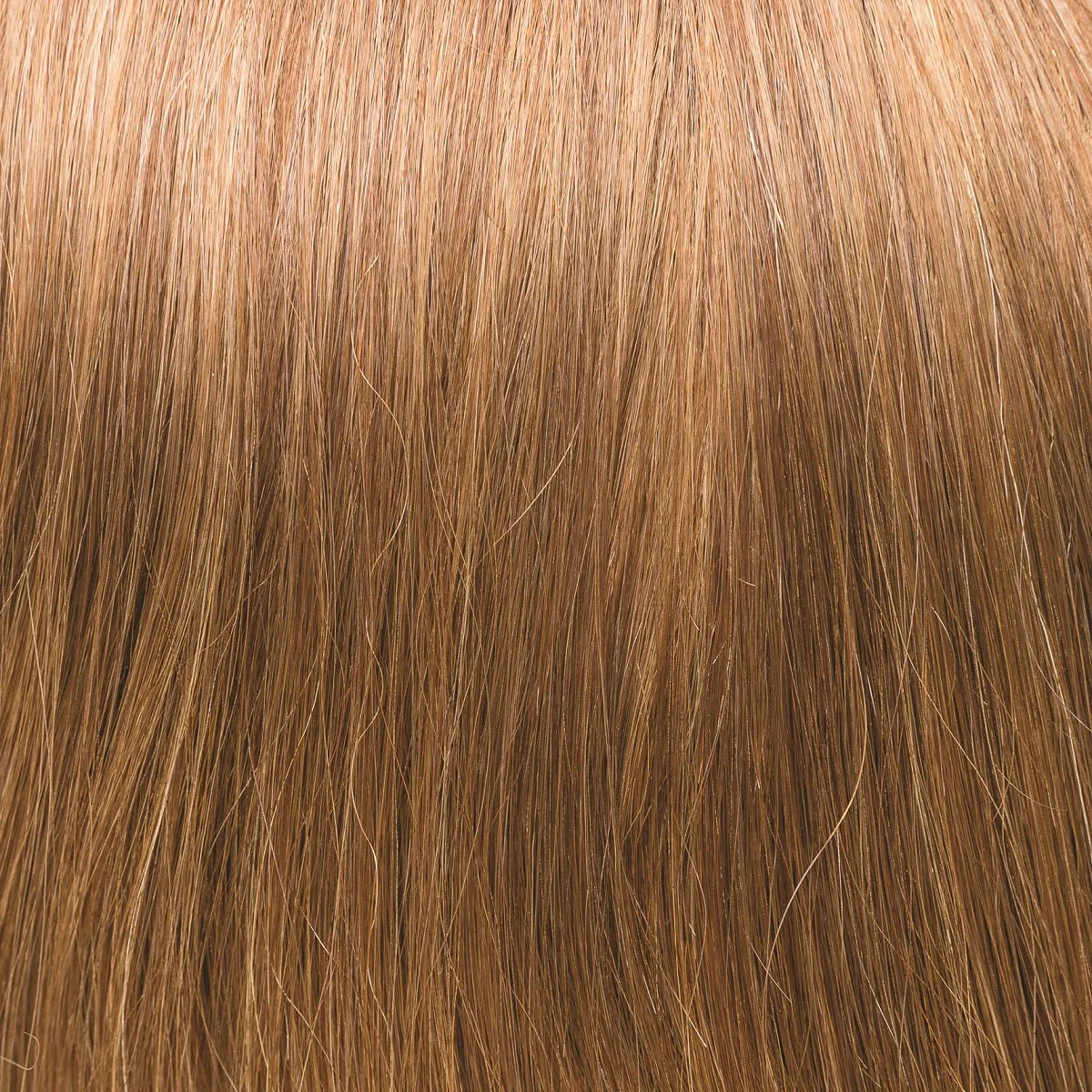 Easy Volume Luxury Net M