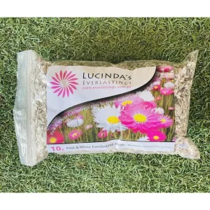 Lucinda's Everlastings - Easy to Grow Wildflower Seeds