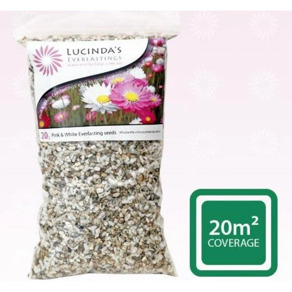 Lucinda's Everlastings - Easy to Grow Wildflower Seeds