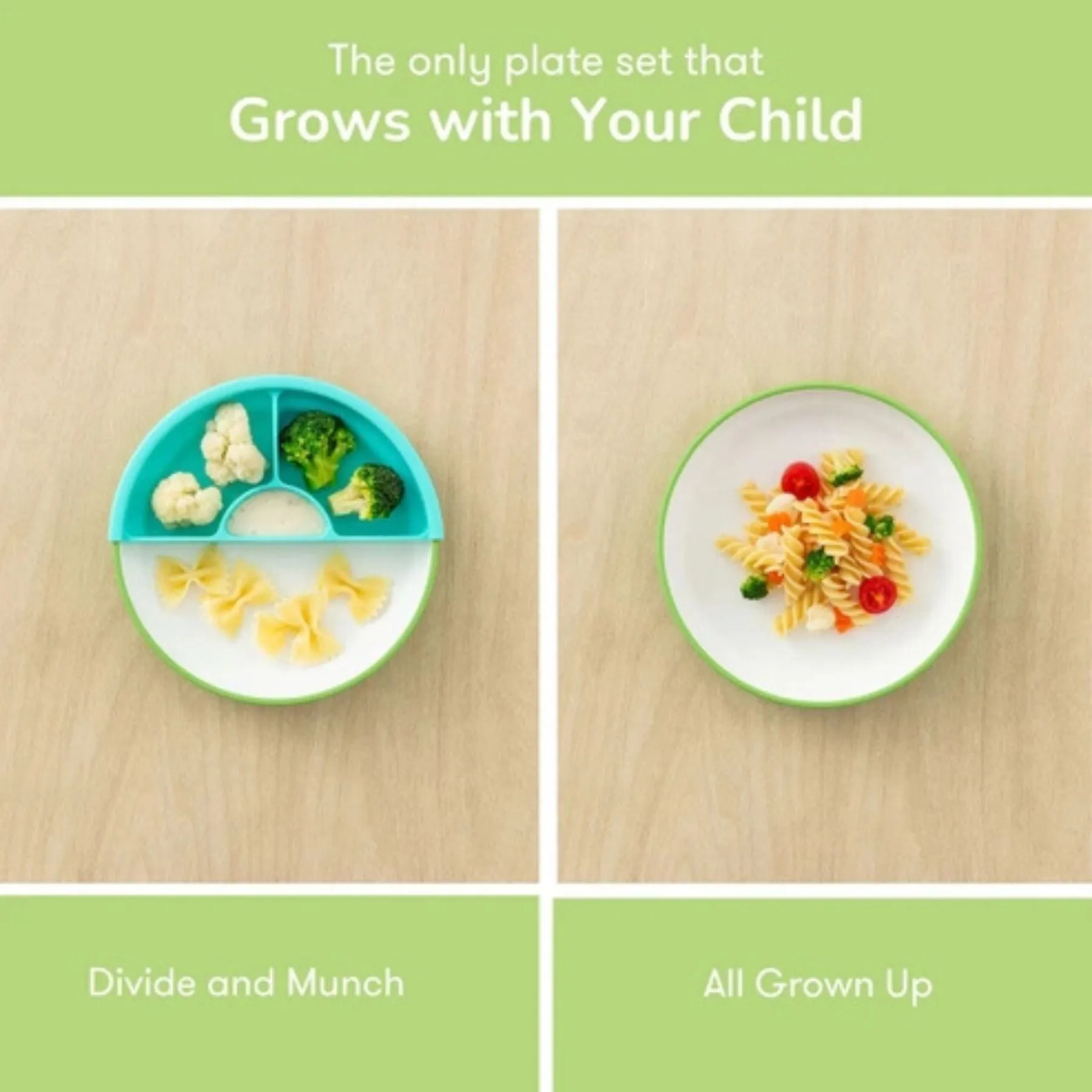 Omie Easy Scoop Plate   Divider Set