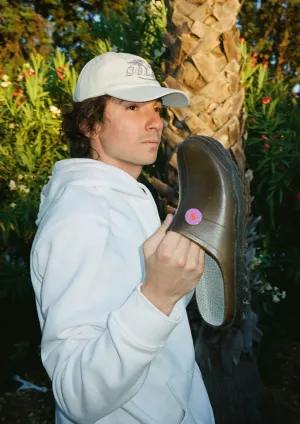 SOLAR - MULE ANGELO