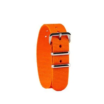 Time Teacher Watch Strap